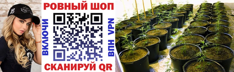 Купить закладку COCAIN  Меф  LSD-25  ГАШИШ  Олонец