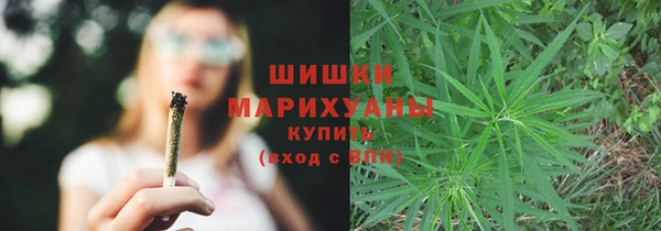 ГАЛЛЮЦИНОГЕННЫЕ ГРИБЫ Гусев