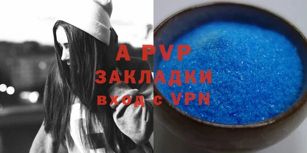 ГАЛЛЮЦИНОГЕННЫЕ ГРИБЫ Гусев