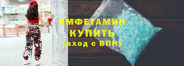 ГАЛЛЮЦИНОГЕННЫЕ ГРИБЫ Гусев