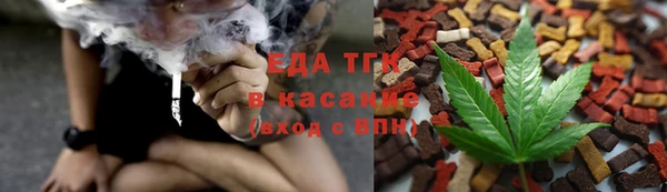 ГАЛЛЮЦИНОГЕННЫЕ ГРИБЫ Гусев
