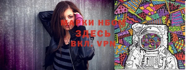 соль ск Гусиноозёрск