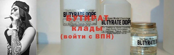 ГАЛЛЮЦИНОГЕННЫЕ ГРИБЫ Гусев