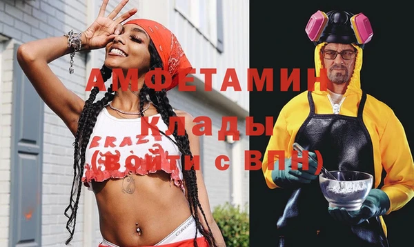 ГАЛЛЮЦИНОГЕННЫЕ ГРИБЫ Гусев