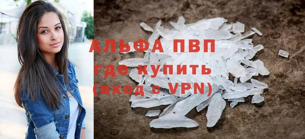 ГАЛЛЮЦИНОГЕННЫЕ ГРИБЫ Гусев