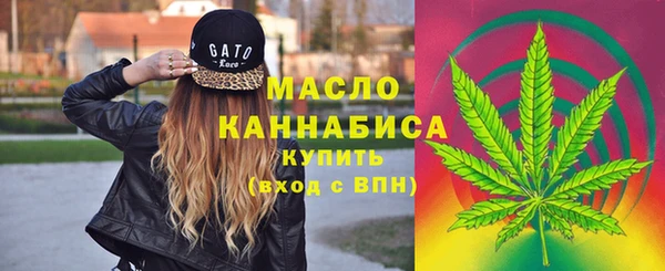 ГАЛЛЮЦИНОГЕННЫЕ ГРИБЫ Гусев