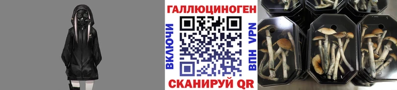 Галлюциногенные грибы прущие грибы  Купить  Олонец 