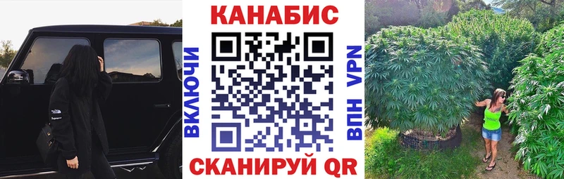 Шишки марихуана семена  Купить где  Олонец 